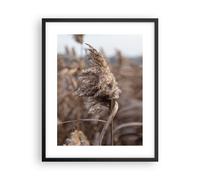 Poster 40x50cm Boho Spighe Di Grano Erba Stampe Immagini Quadri Moderni Murale