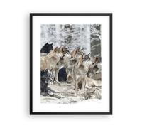 Poster 40x50cm Branco lupi inverno Stampe Immagini Quadri Moderni Murale