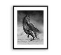 Poster 40x50cm Cavallo Galoppo Dinamico Stampe Immagini Quadri Moderni Murale