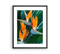 Poster 40x50cm Celeste uccello fiore Stampe Immagini Quadri Moderni Murale