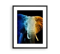 Poster 40x50cm Colorato Elefante Fotografia Stampe Immagini Quadri Murale