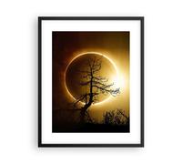 Poster 40x50cm Eclipse il sole l'albero Stampe Immagini Quadri Moderni Murale