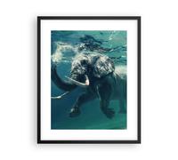 Poster 40x50cm elefante animale acqua Stampe Immagini Quadri Moderni Murale