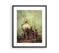 Poster 40x50cm elefante giungla nebbia Stampe Immagini Quadri Moderni Murale