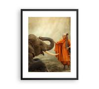Poster 40x50cm elefante monaco zanna Stampe Immagini Quadri Moderni Murale