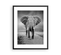 Poster 40x50cm Elefante natura selvaggia natura Stampe Immagini Quadri Murale