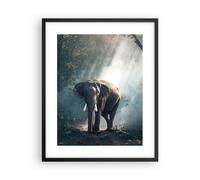 Poster 40x50cm elefante natura Stampe Immagini Quadri Moderni Murale