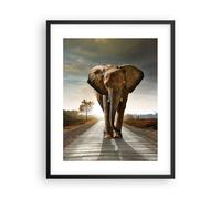 Poster 40x50cm Elefante Strada Campagna Stampe Immagini Quadri Moderni Murale