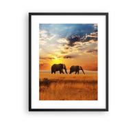 Poster 40x50cm Elefanti Safari giungla cespuglio Stampe Immagini Quadri Murale
