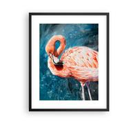 Poster 40x50cm Fenicottero Uccello Natura Stampe Immagini Quadri Moderni Murale