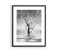 Poster 40x50cm In bianco e nero albero lago Stampe Immagini Quadri Murale