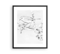 Poster 40x50cm Luminoso Uccello Natura Stampe Immagini Quadri Moderni Murale