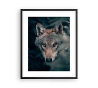 Poster 40x50cm Lupo foresta predatore Stampe Immagini Quadri Moderni Murale