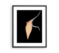 Poster 40x50cm Nero Donna Cappello Stampe Immagini Quadri Moderni Murale