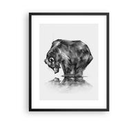 Poster 40x50cm orso animale Stampe Immagini Quadri Moderni Murale
