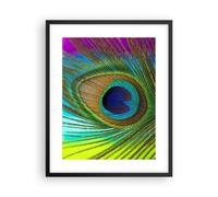 Poster 40x50cm Pavoni piume arcobaleno Stampe Immagini Quadri Moderni Murale