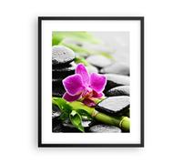 Poster 40x50cm Pianta pietre bambù spa Stampe Immagini Quadri Moderni Murale