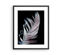 Poster 40x50cm Piuma I Colori Delicatezza Stampe Immagini Quadri Moderni Murale
