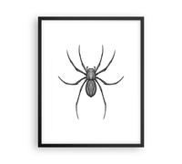 Poster 40x50cm Ragno Insetto Minimalista Stampe Immagini Quadri Moderni Murale