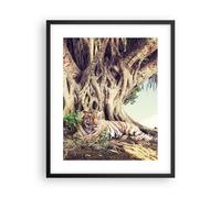 Poster 40x50cm Tigre selvaggio albero Stampe Immagini Quadri Moderni Murale