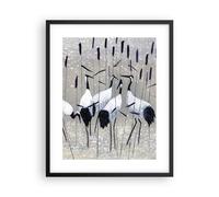 Poster 40x50cm uccello natura acqua Stampe Immagini Quadri Moderni Murale
