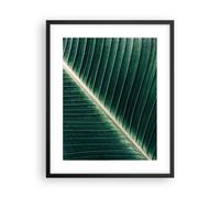 Poster 40x50cm Verde Foglia Tropicale Stampe Immagini Quadri Moderni Murale
