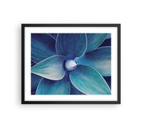 Poster 50x40cm Agave blu fiore Stampe Immagini Quadri Moderni Murale