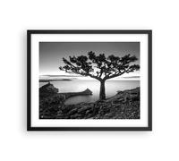Poster 50x40cm Albero Bianco E Nero Vista Stampe Immagini Quadri Moderni Murale