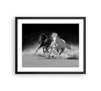 Poster 50x40cm Andaluso Cavalli Galoppo Stampe Immagini Quadri Moderni Murale