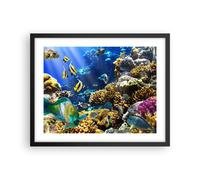 Poster 50x40cm Barriera corallina oceano granchio pesce Stampe Quadri Moderni