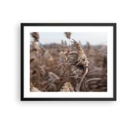 Poster 50x40cm Boho Spighe Di Grano Erba Stampe Immagini Quadri Moderni Murale