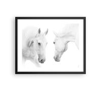 Poster 50x40cm Cavalli Natura Animali Stampe Immagini Quadri Moderni Murale
