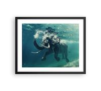 Poster 50x40cm elefante animale acqua Stampe Immagini Quadri Moderni Murale