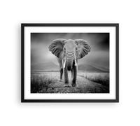 Poster 50x40cm Elefante natura selvaggia natura Stampe Immagini Quadri Moderni
