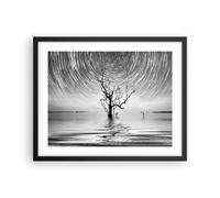 Poster 50x40cm In bianco e nero albero lago Stampe Immagini Quadri Moderni