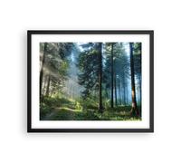 Poster 50x40cm La foresta l'alba il sole Stampe Immagini Quadri Moderni Murale