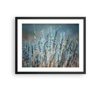 Poster 50x40cm Lavanda Lama Fiore Stampe Immagini Quadri Moderni Murale