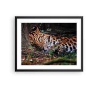 Poster 50x40cm Leopardo Ritratto Giaguaro Stampe Immagini Quadri Moderni Murale