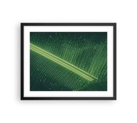 Poster 50x40cm Macro Foglia Gocce Stampe Immagini Quadri Moderni Murale