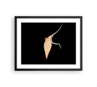 Poster 50x40cm Nero Donna Cappello Stampe Immagini Quadri Moderni Murale