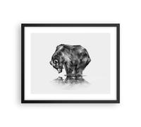 Poster 50x40cm orso animale Stampe Immagini Quadri Moderni Murale