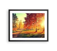 Poster 50x40cm parco autunno albero Stampe Immagini Quadri Moderni Murale