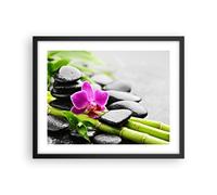 Poster 50x40cm Pianta pietre bambù spa Stampe Immagini Quadri Moderni Murale