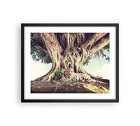 Poster 50x40cm Tigre selvaggio albero Stampe Immagini Quadri Moderni Murale