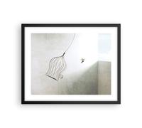 Poster 50x40cm Volo uccello gabbia Stampe Immagini Quadri Moderni Murale