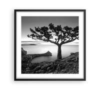 Poster 50x50cm Albero Bianco E Nero Vista Stampe Immagini Quadri Moderni Murale