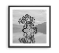 Poster 50x50cm Albero Simmetria Lago Stampe Immagini Quadri Moderni Murale