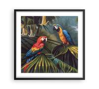 Poster 50x50cm Ara pappagalli palme Stampe Immagini Quadri Moderni Murale