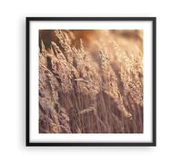 Poster 50x50cm Boho Spighe Di Grano Campo Stampe Immagini Quadri Moderni Murale