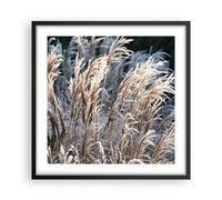 Poster 50x50cm Canna Spighe Di Grano Boho Stampe Immagini Quadri Moderni Murale